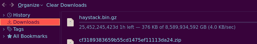 Firefox download manager showing that the 8 etabyte file is gonna take over 25 billion days